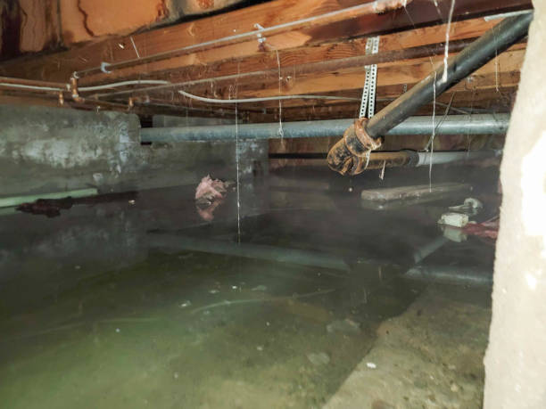 Best 24/7 water damage repair  in Willowick, OH