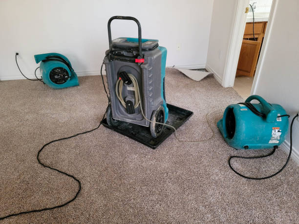 Best Flooded house restoration  in Willowick, OH