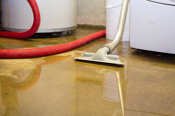 Best Water damage contractors near me  in Willowick, OH