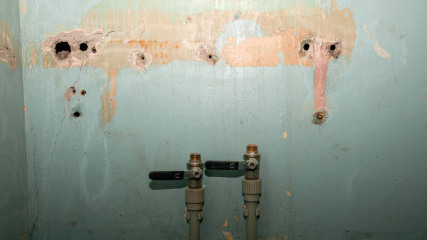 Best Commercial water damage restoration  in Willowick, OH
