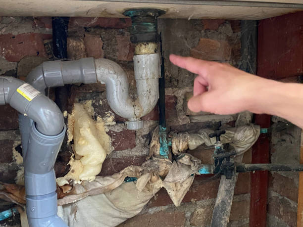 Best Flooded house restoration  in Willowick, OH