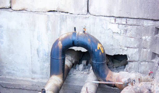 Best Professional water damage repair  in Willowick, OH