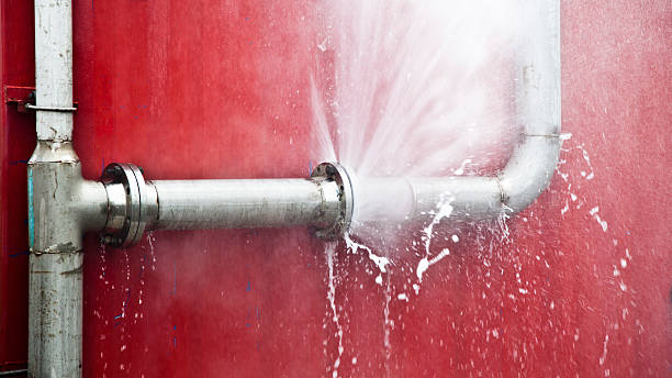 Best Sewage cleanup and water damage restoration  in Willowick, OH